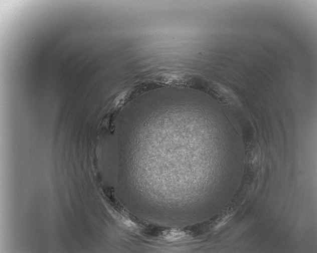 X0000066960607200604072006