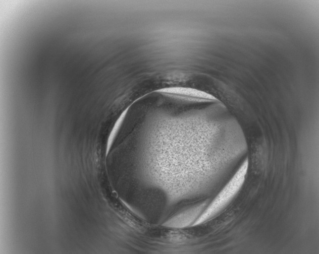 X0000066960608200604072006