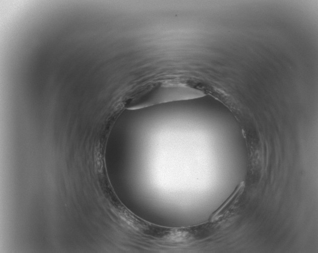 X0000066960609200604072006