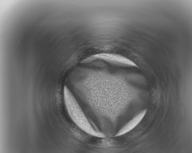 X0000066960612200604072006