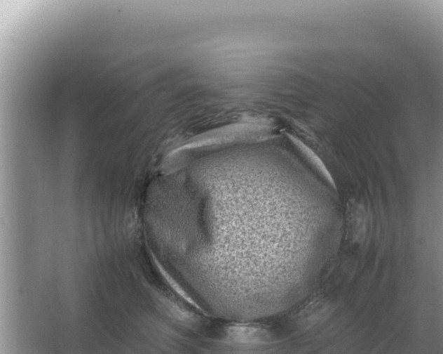 X0000066960614200604072006