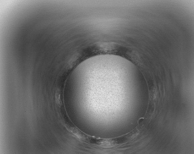 X0000066960615200604072006