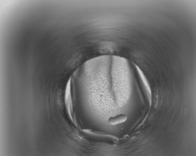 X0000066960616200604072006