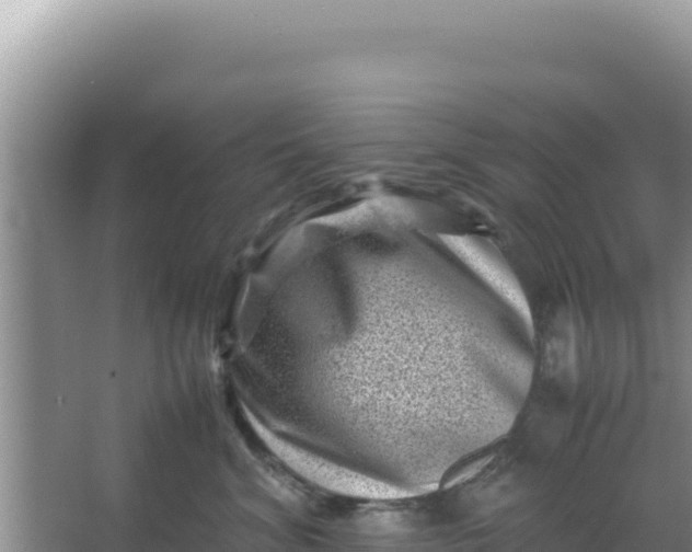 X0000066960620200604072006