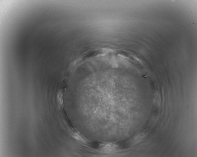 X0000066960621200604072006