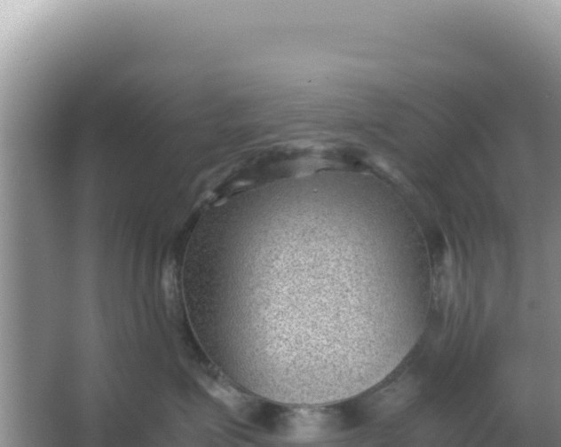 X0000066960623200604072006