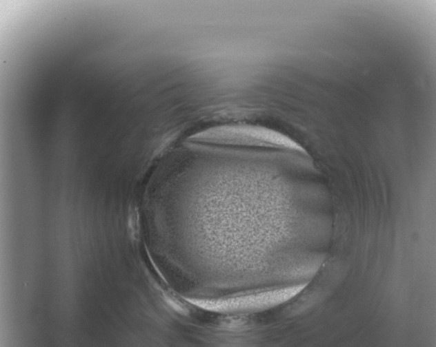 X0000066960624200604072006