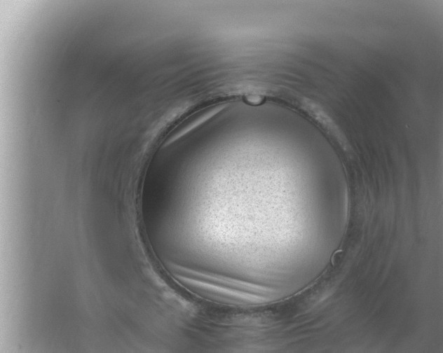 X0000066960625200604072005