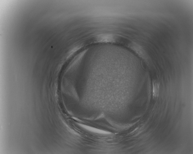 X0000066960627200604072005