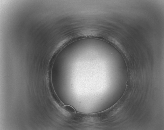 X0000066960629200604072005