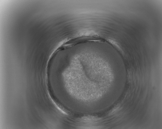 X0000066960630200604072005