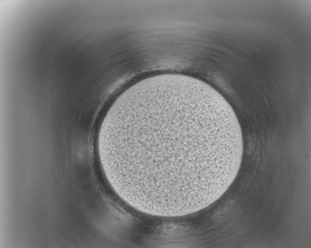 X0000066960632200604072005