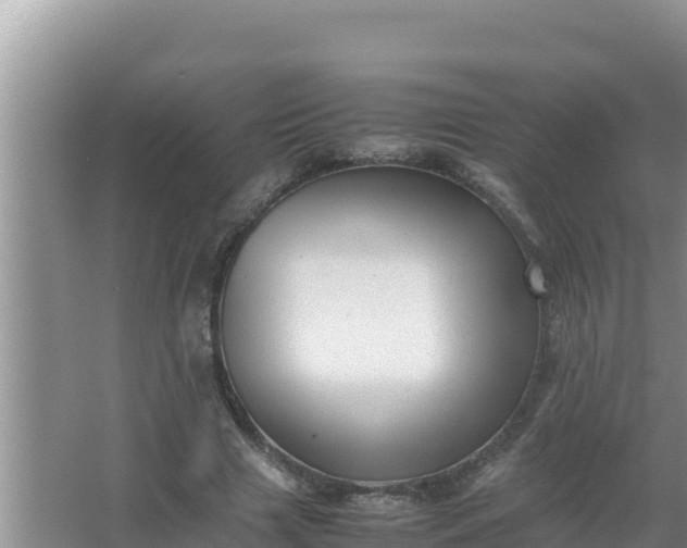 X0000066960633200604072005