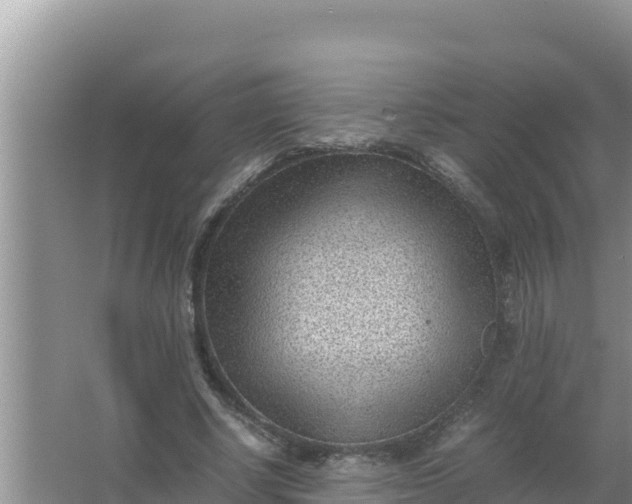 X0000066960634200604072005