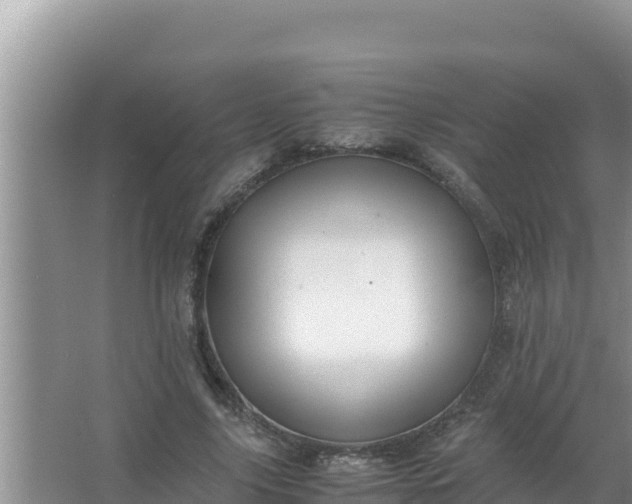 X0000066960635200604072005