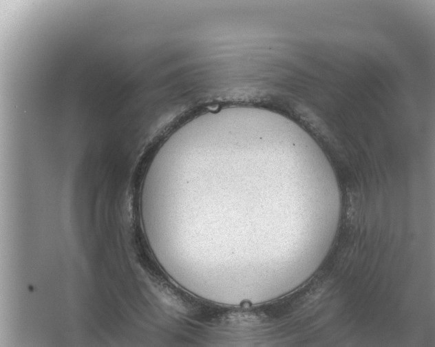 X0000066960636200604072005