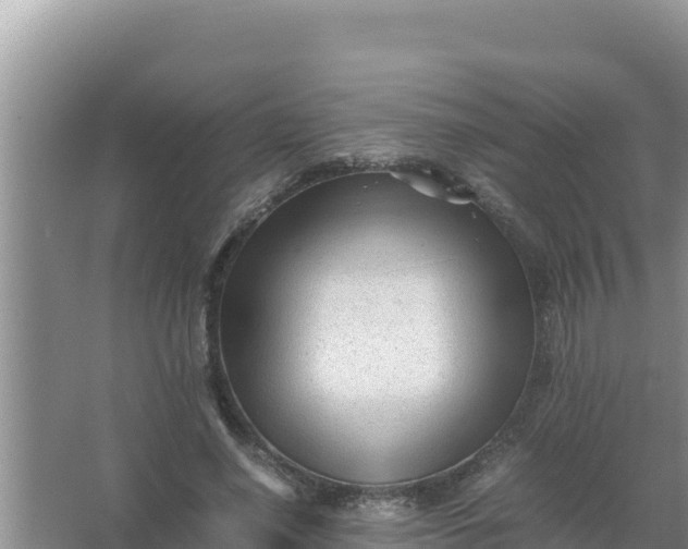 X0000066960638200604072005