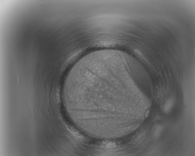 X0000066960640200604072005