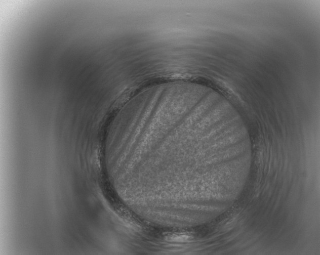 X0000066960643200604072005