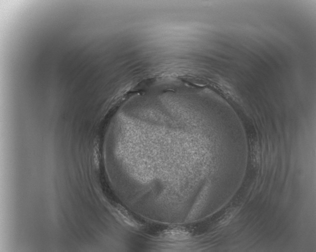 X0000066960644200604072005