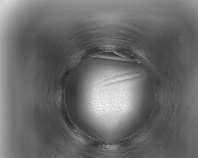 X0000066960645200604072005