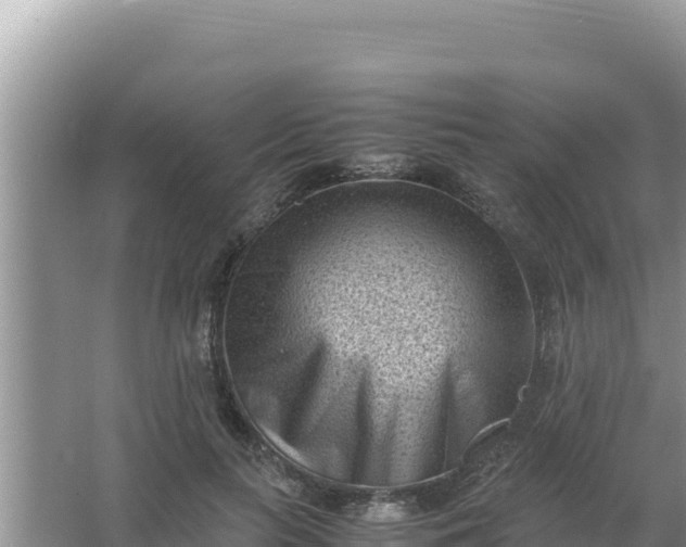 X0000066960647200604072005