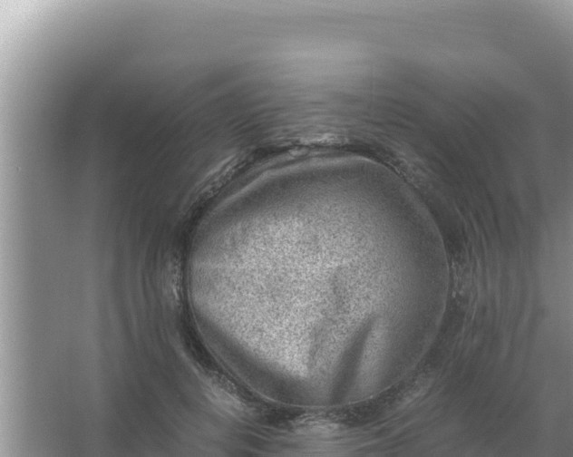 X0000066960648200604072005