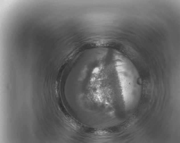 X0000066960650200604072005