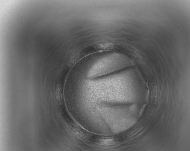 X0000066960651200604072005