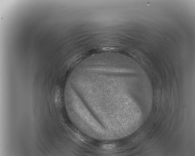 X0000066960653200604072005