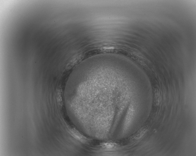 X0000066960654200604072005