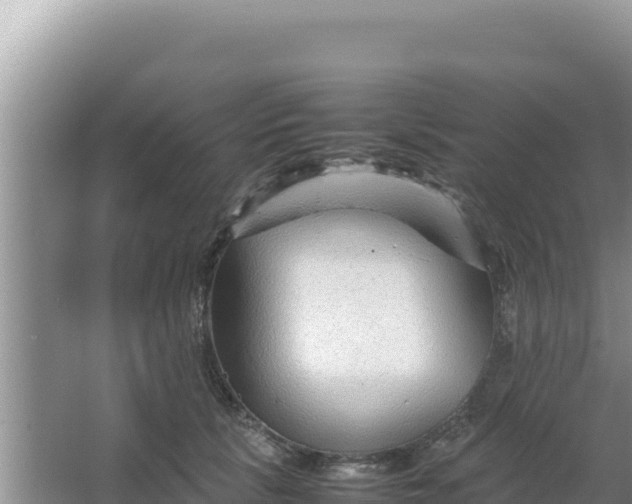 X0000066960657200604072006