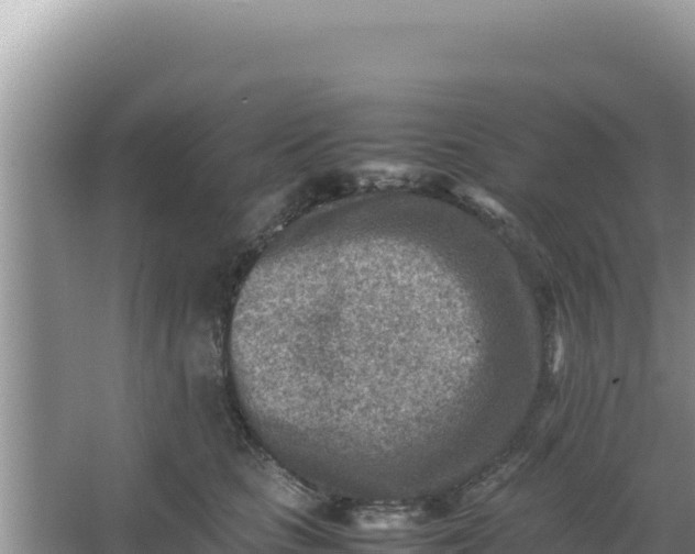 X0000066960661200604072006