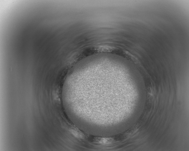 X0000066960663200604072006