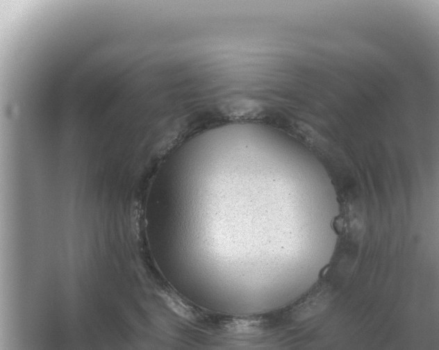 X0000066960664200604072006