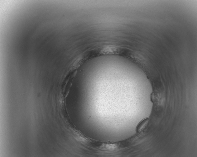 X0000066960665200604072006