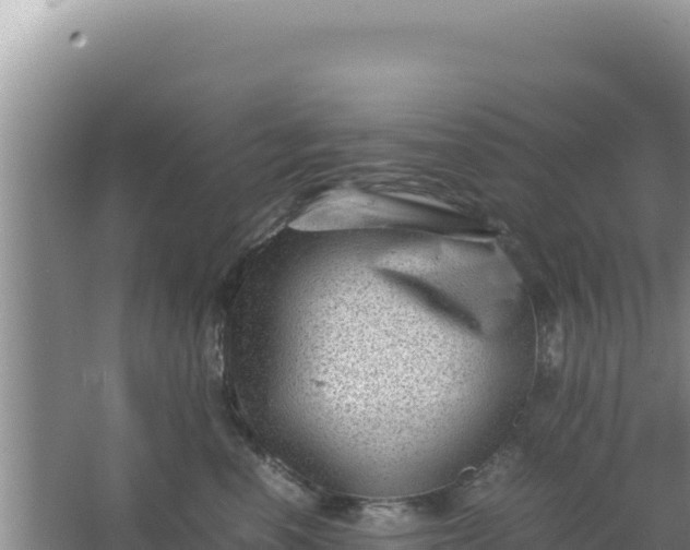 X0000066960666200604072006