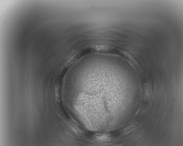 X0000066960667200604072006