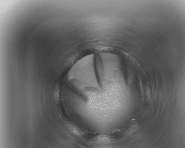 X0000066960668200604072006