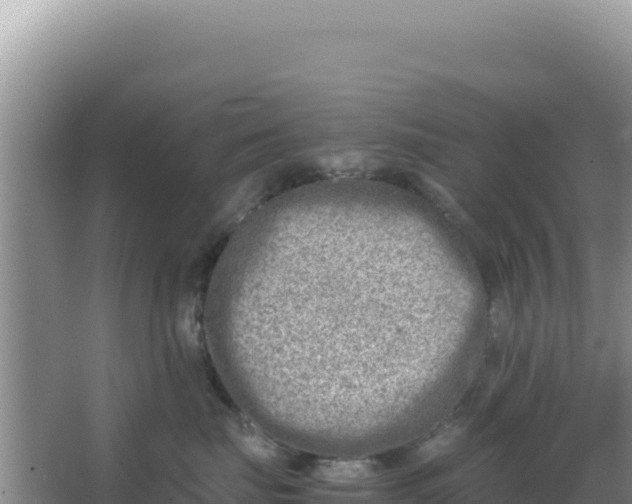 X0000066960671200604072006