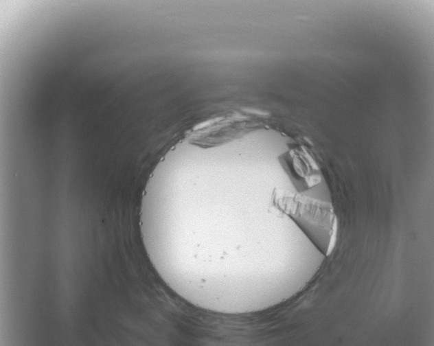 X0000066960672200604072006