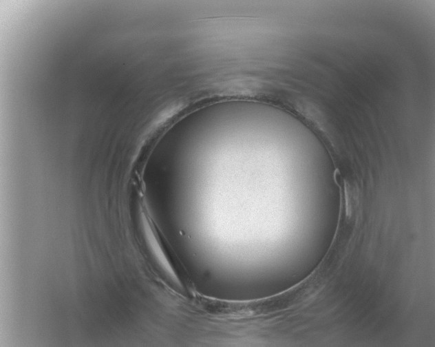 X0000066960675200604072005