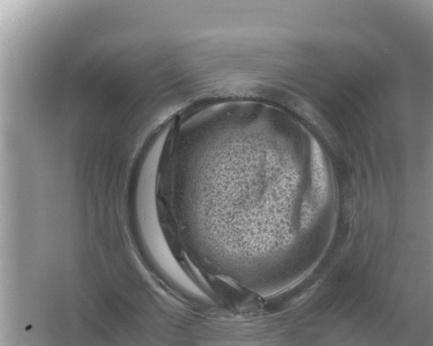 X0000066960677200604072005