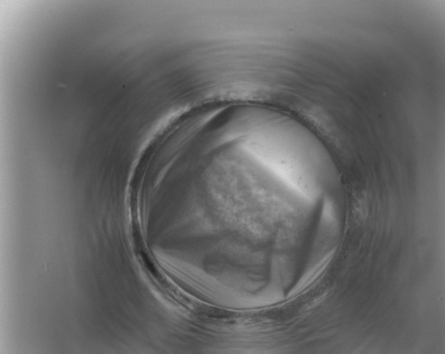 X0000066960678200604072005