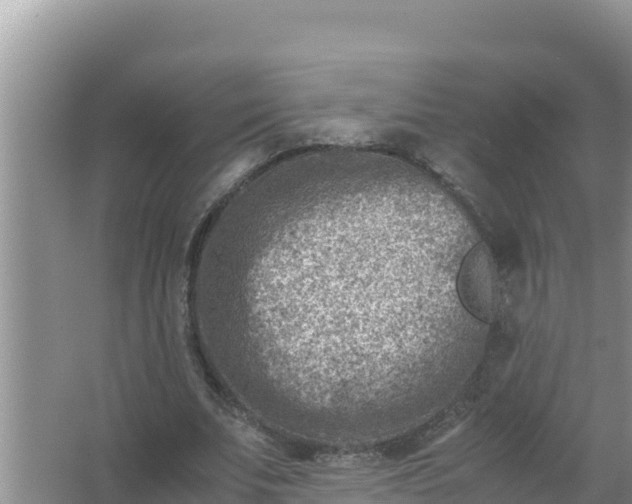 X0000066960679200604072005