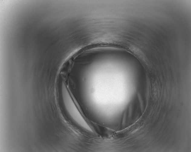 X0000066960680200604072005