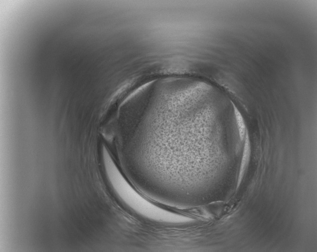 X0000066960681200604072005