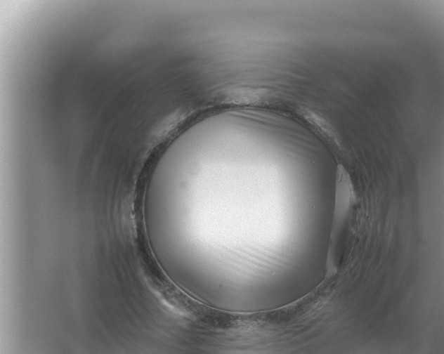 X0000066960682200604072005