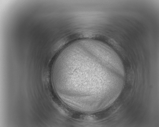 X0000066960683200604072005