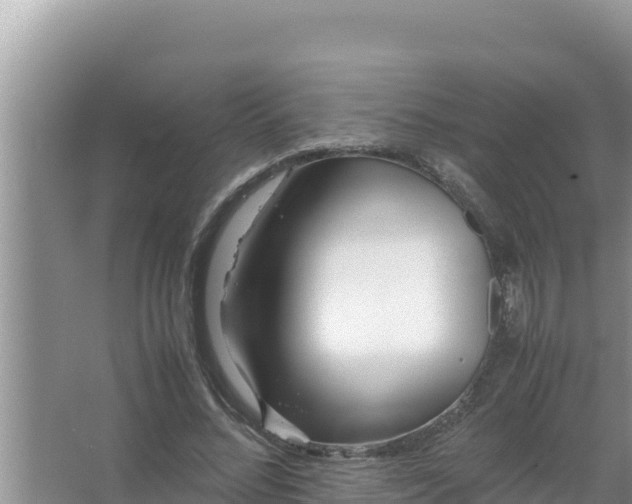 X0000066960684200604072005